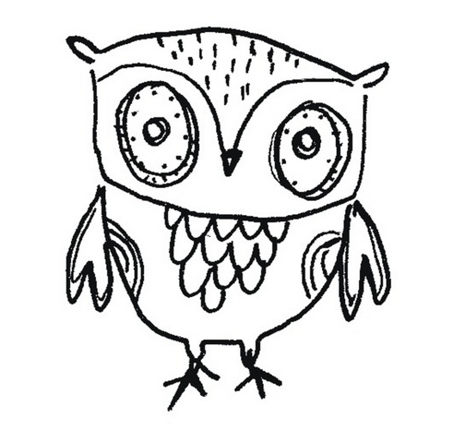 Sketch Owl Ola
