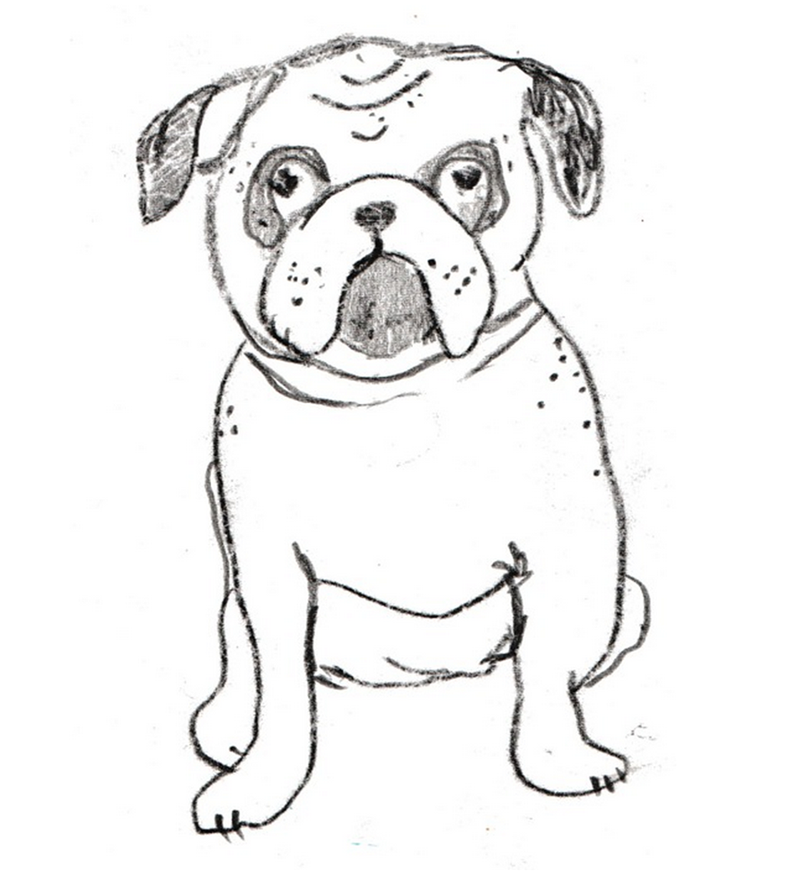 Sketch Bulldog Leonard