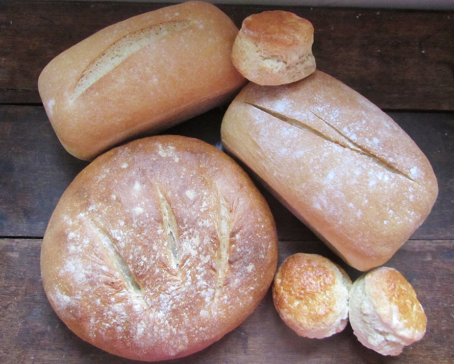 bread scones