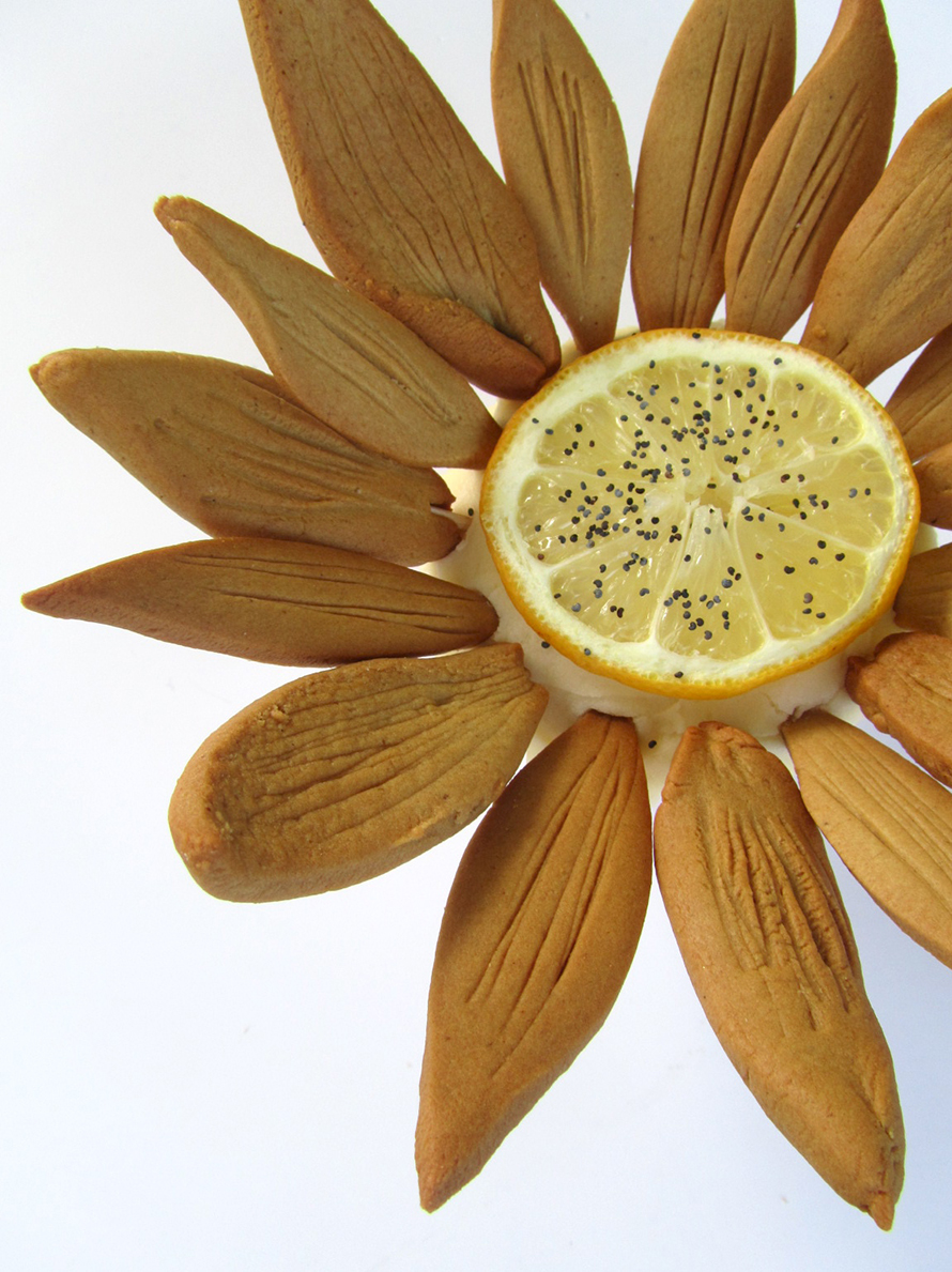 lemon poppy ginger sunflower2