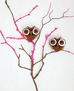 Brownie Owls